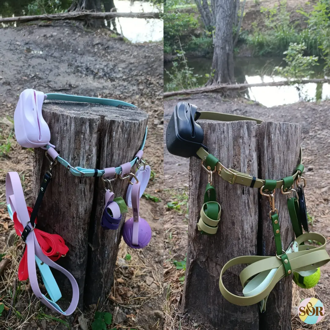 Ceinture pour humain avec divers accessoires comme un sac à friandises, un porte sacs à crotte, bol transportable, balle flottante et porte longe/laisse pour les balades ou séances d'éducation