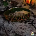 19.webp
