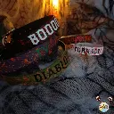16.webp