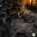 11.webp