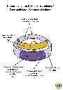 15.webp