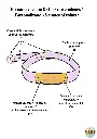 12.webp