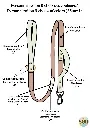 10.webp