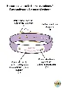 4.webp