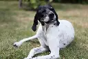 3800616-47e874ac914c22.webp