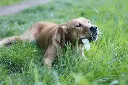 3800586-47e874ac917913.webp