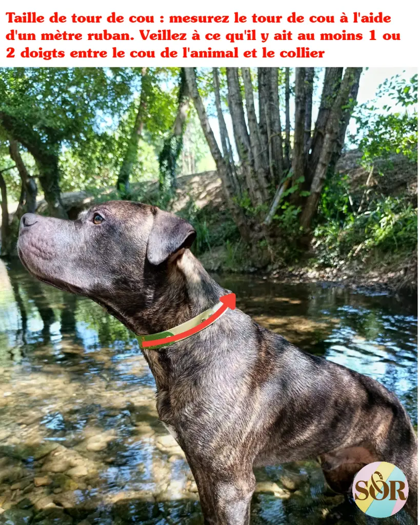 Photos Ty choublanc (1).webp