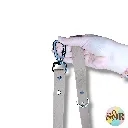 1000017572.webp