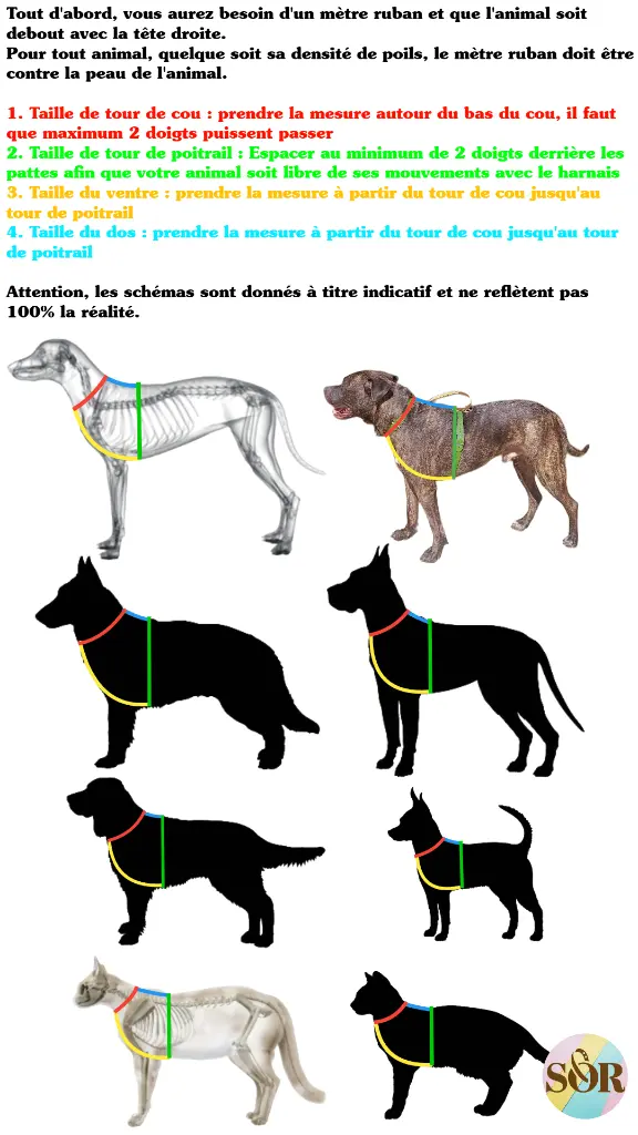 Untitled Project (84).webp