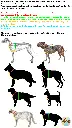 Untitled Project (84).webp