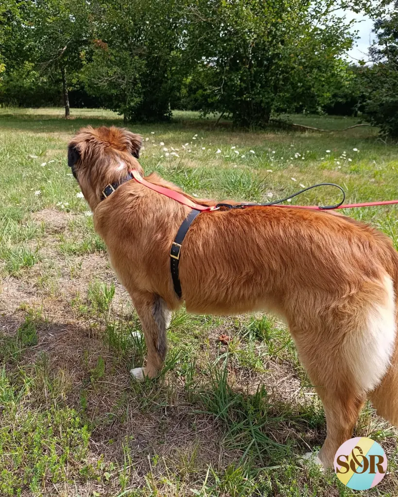 Photos Ty choublanc (4).webp