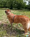 Photos Ty choublanc (4).webp