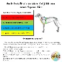 SorandCo HEXA.webp