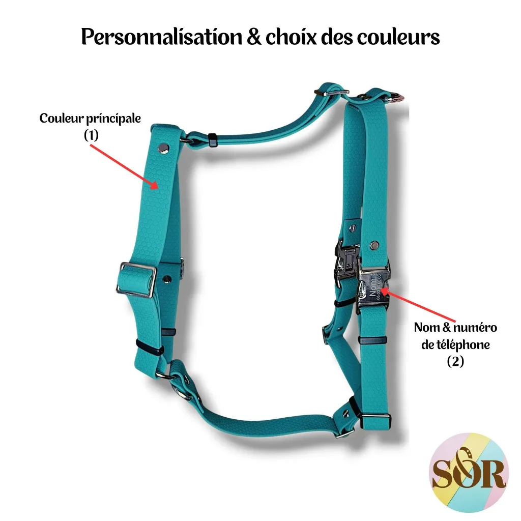 SorandCo HEXA (4).webp