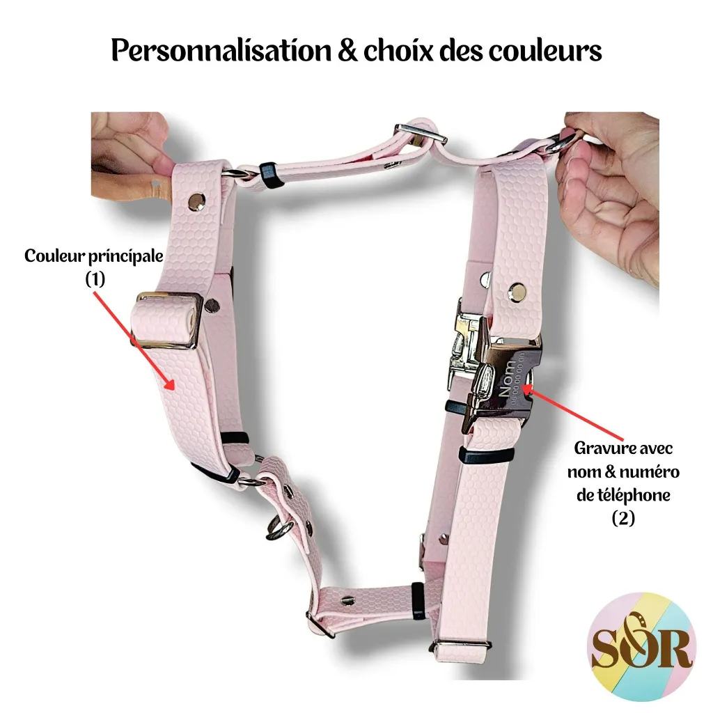 SorandCo HEXA (7).webp