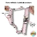 SorandCo HEXA (7).webp