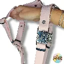 1000024984.webp