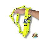 1000025021.webp