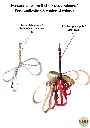 Laisses SOR&CO (2).webp