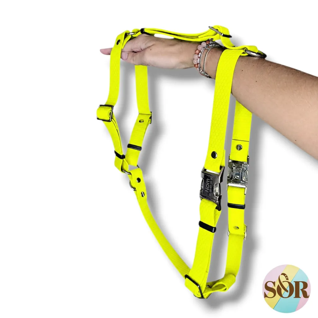 1000025075.webp