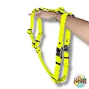 1000025075.webp