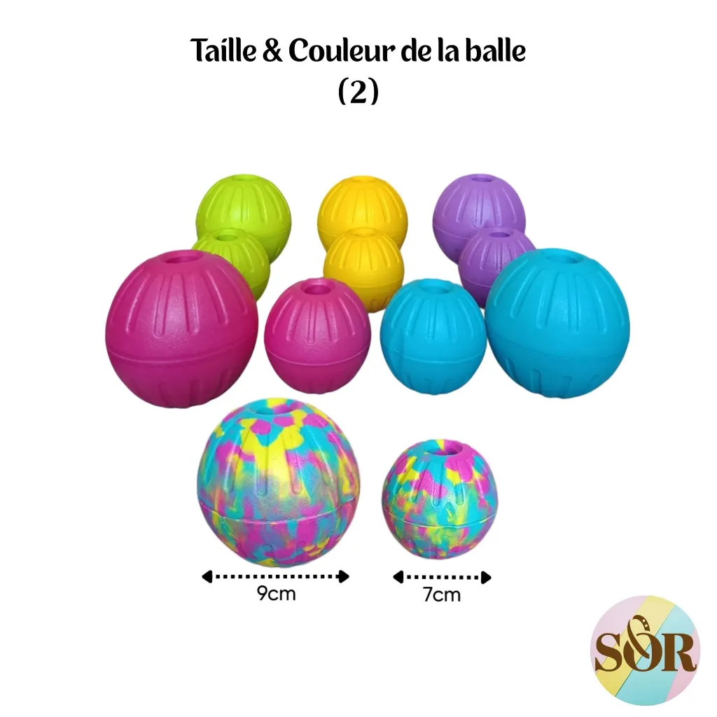 SorandCo HEXA (10).webp