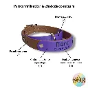 SorandCo HEXA (37).webp