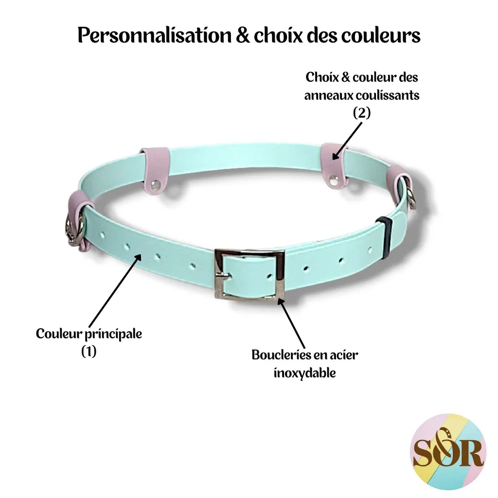 SorandCo HEXA (55).webp