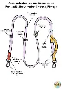 39.webp