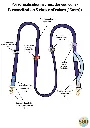 42.webp