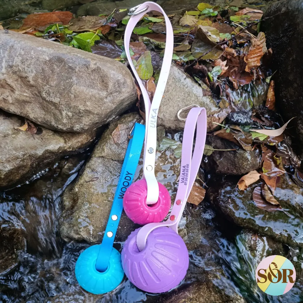 Copy of Medaillons photos (5).webp