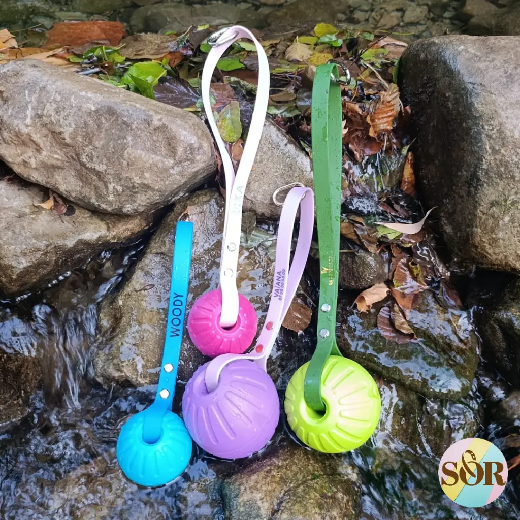 Copy of Medaillons photos (4).webp