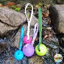 Copy of Medaillons photos (4).webp