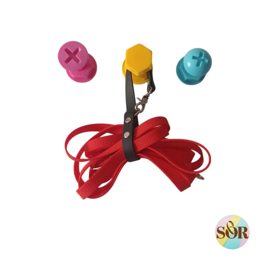 Porte longe laisse photos (1).webp