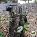 Acce photos (1).webp