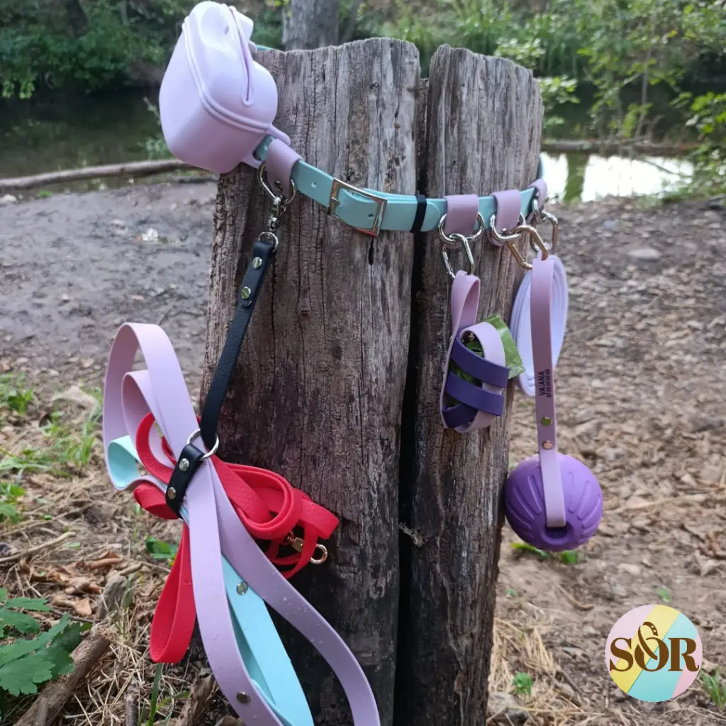 Acce photos (4).webp