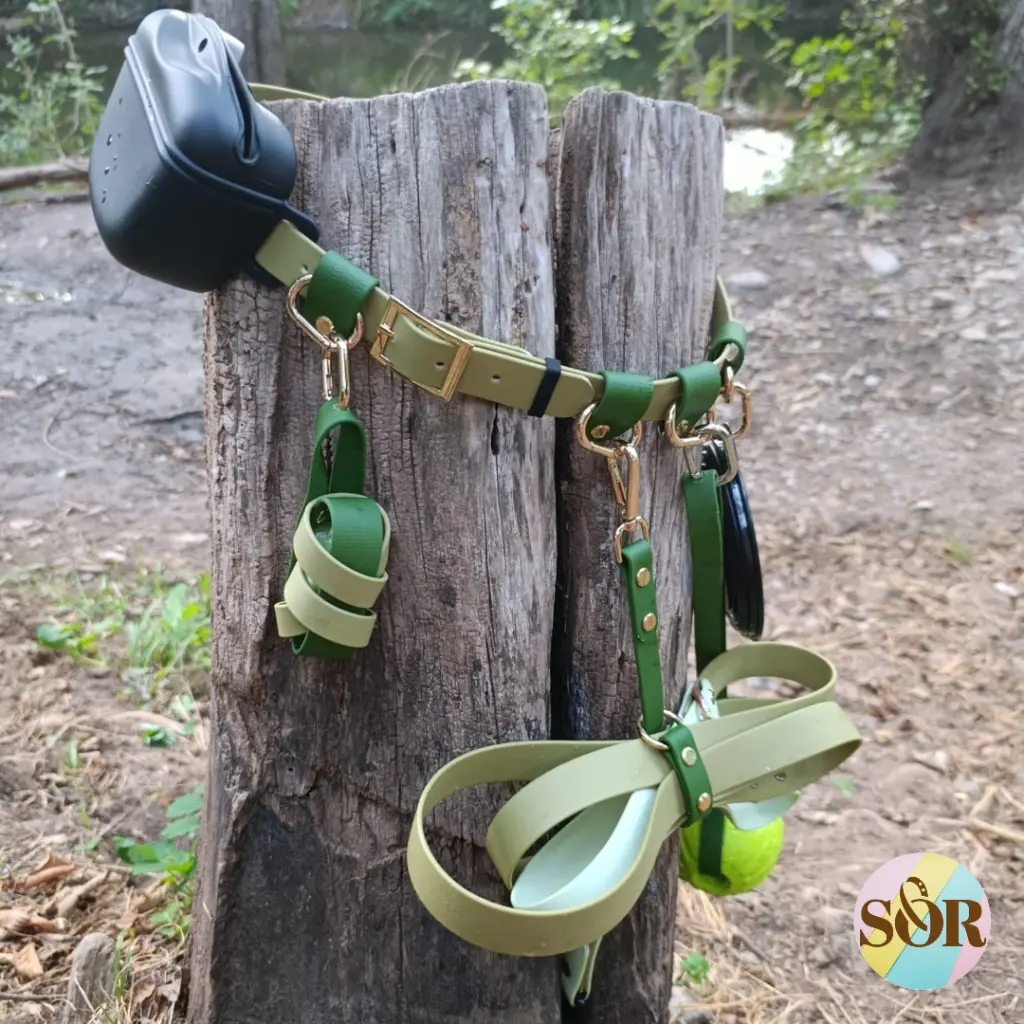 Acce photos (2).webp