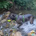 Balles flottantes.webp