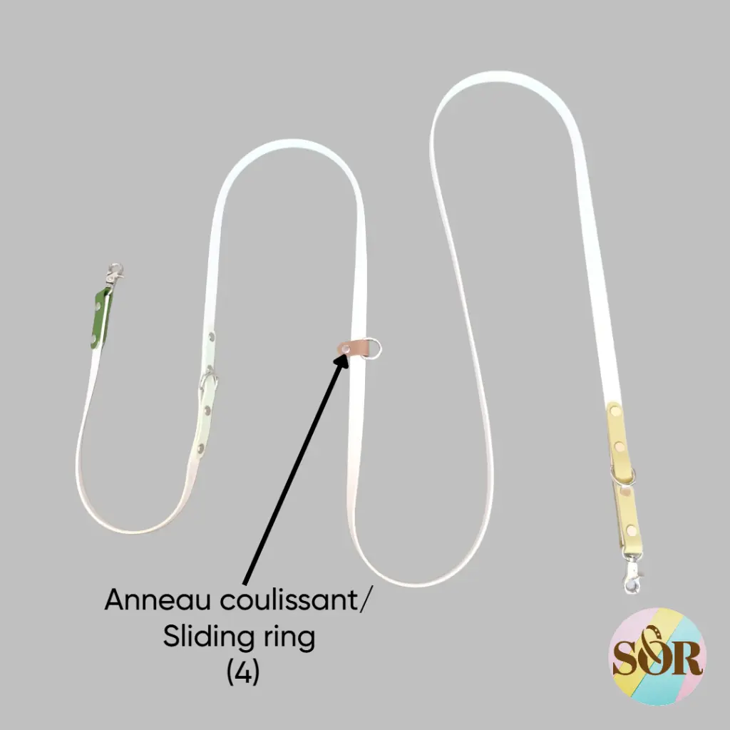 Laisse 3 points (1).webp