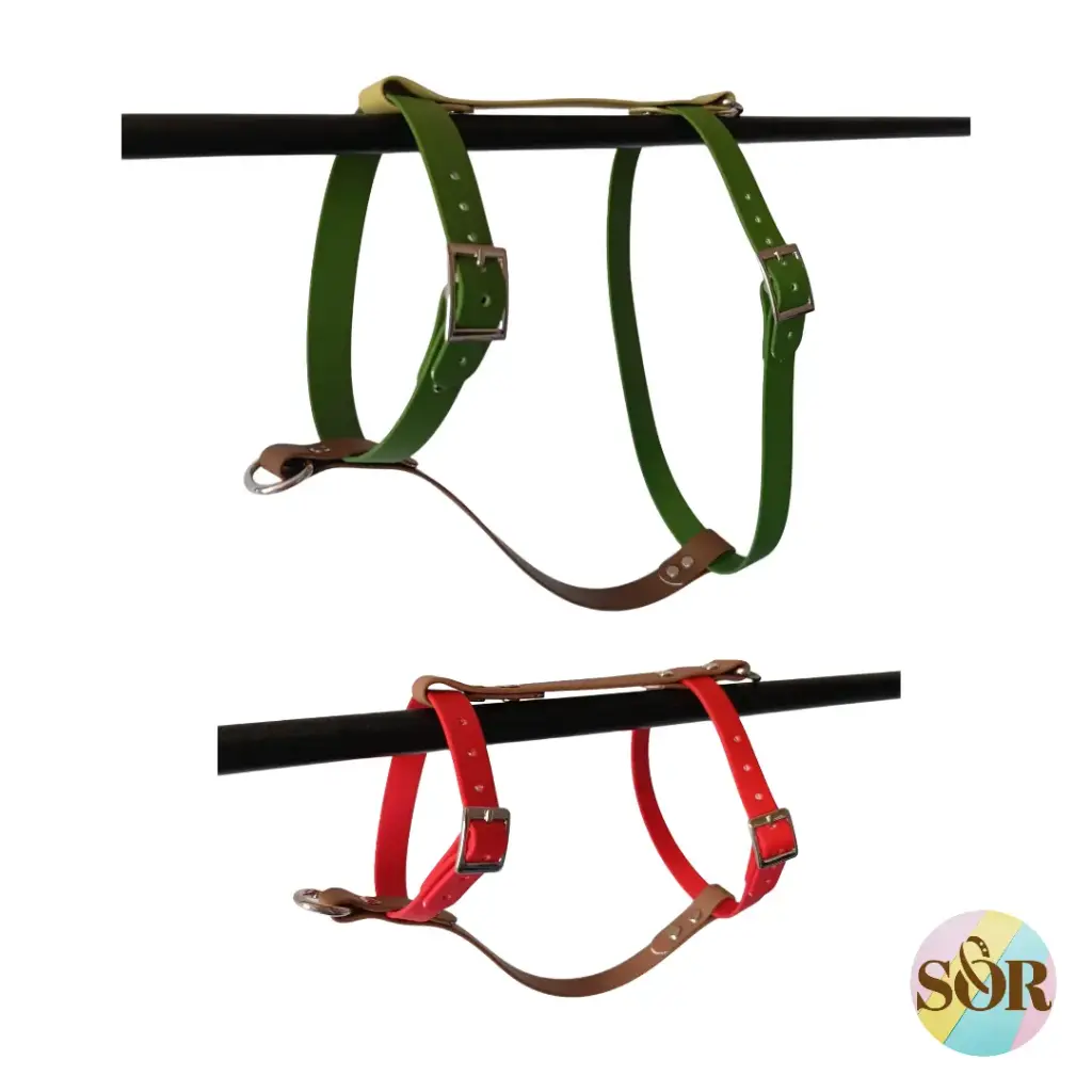 Harnais personnalisable