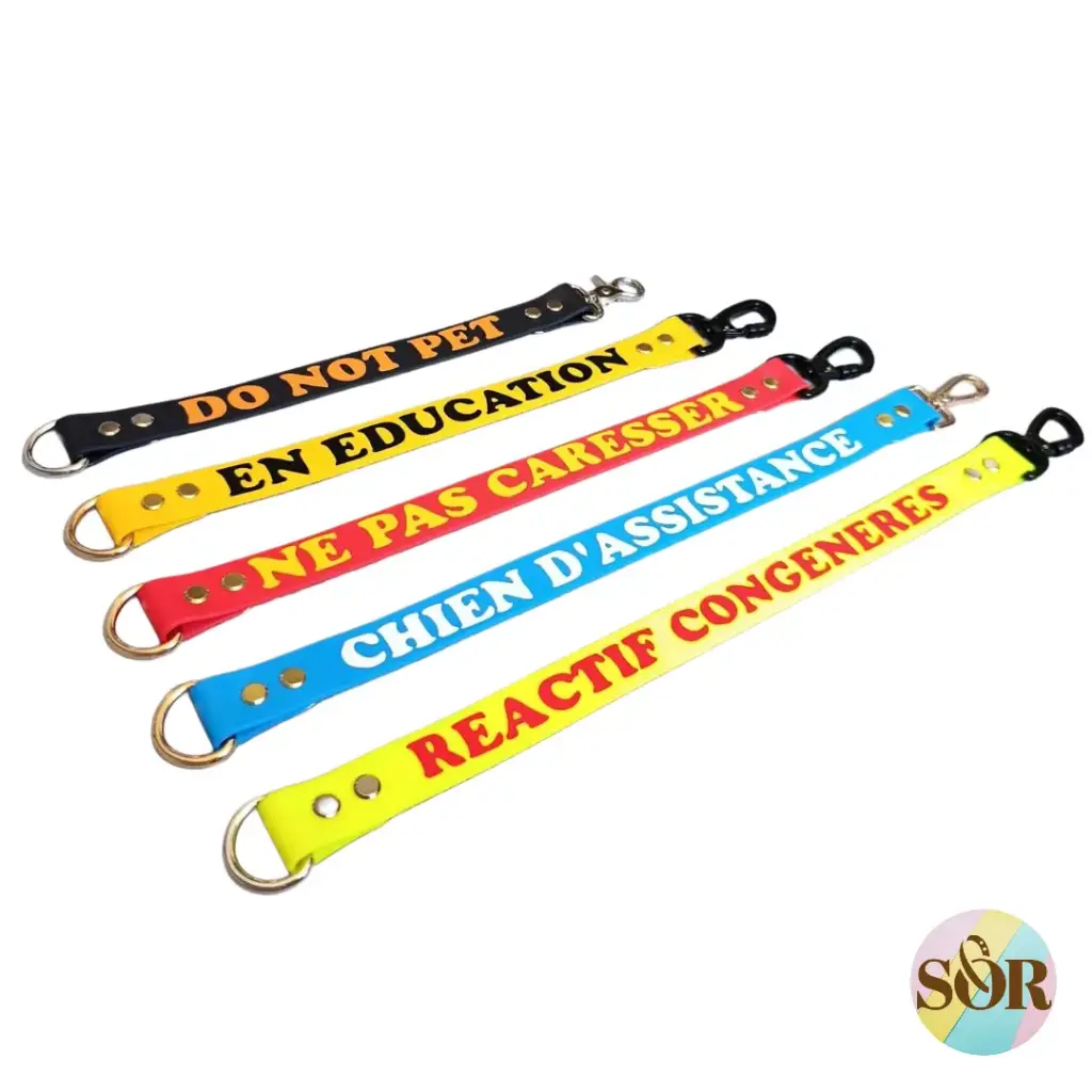 Manchon de laisse personnalisable