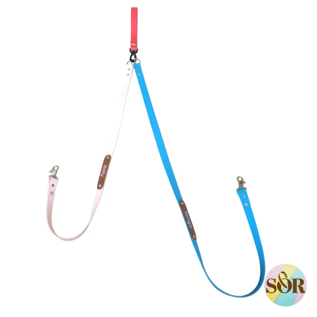 Laisse pour 2 chiens personnalisable - Largeur 25mm