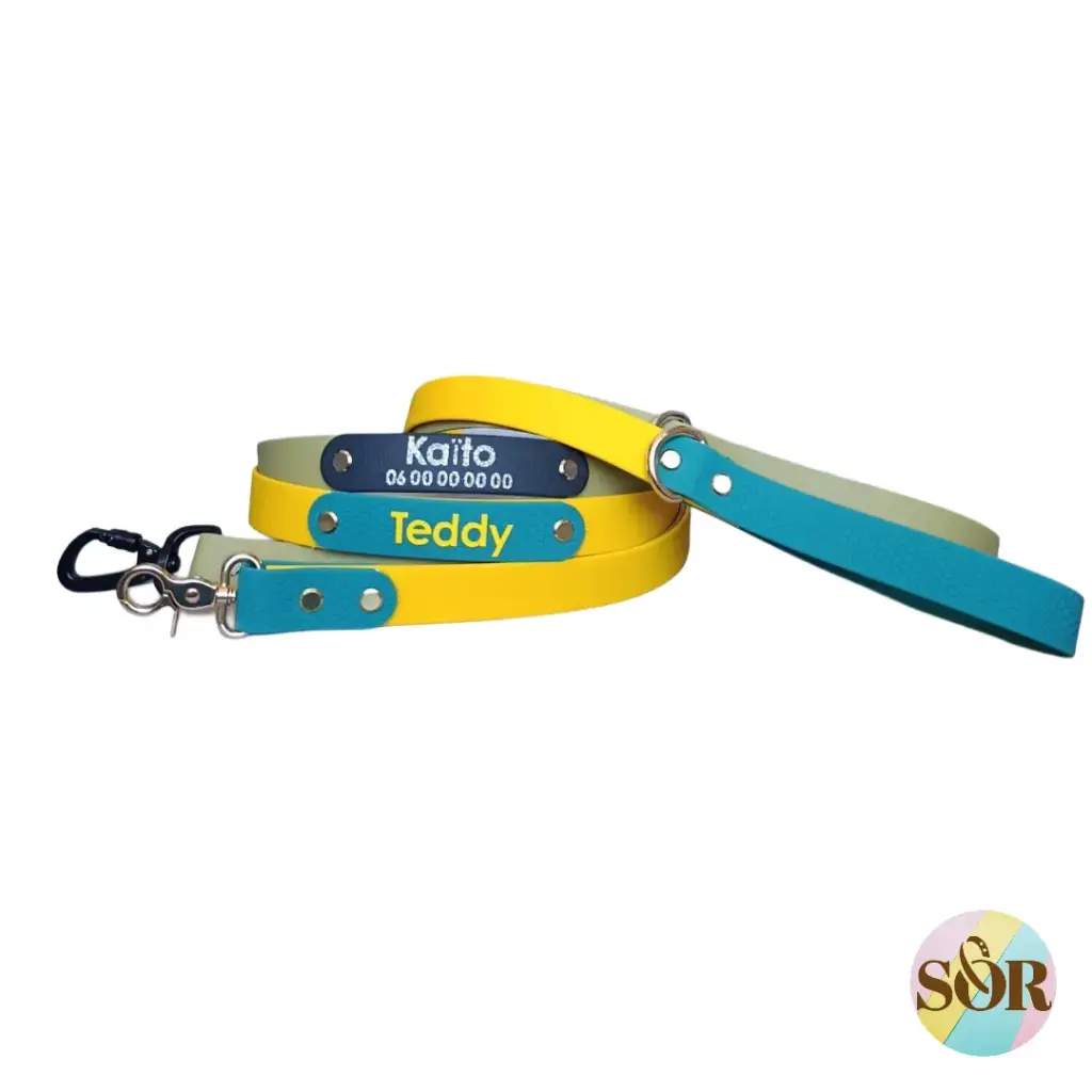 Laisse jusqu'à 3 couleurs personnalisable - Largeur 25mm