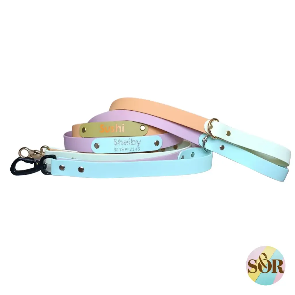 Laisse jusqu'à 3 couleurs avec poignée personnalisable - Largeur 25mm 