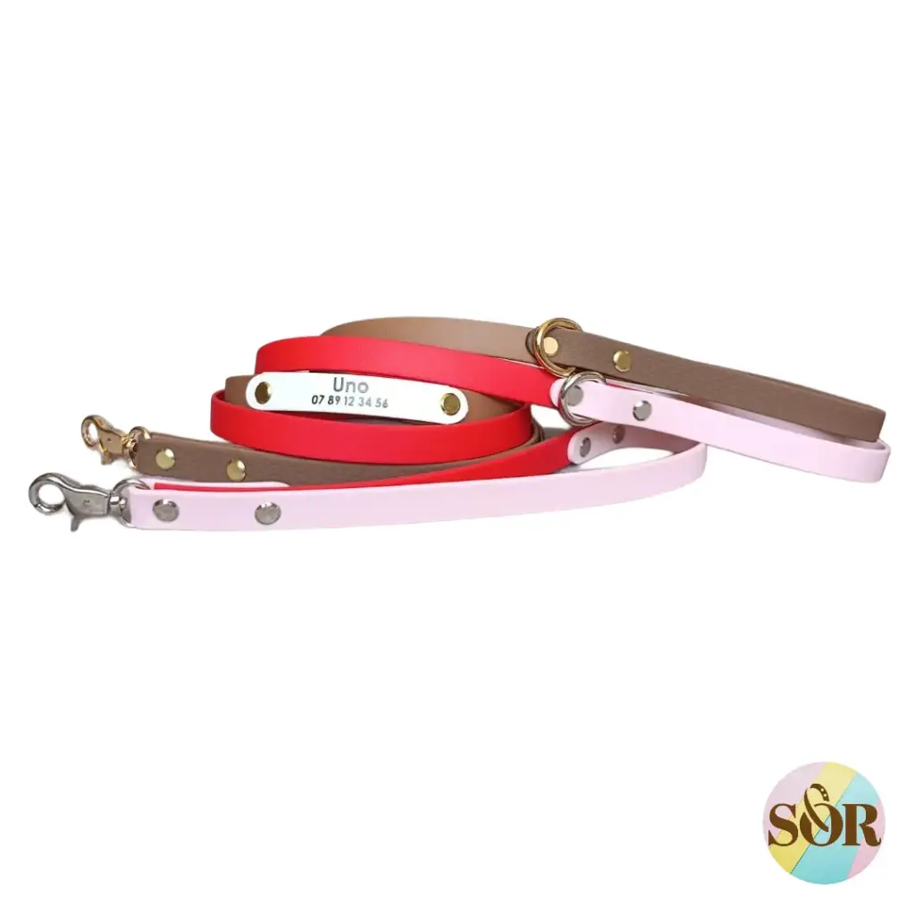 Laisse jusqu'à 3 couleurs avec poignée personnalisable - Largeur 16mm 