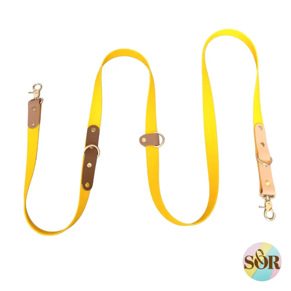 Laisse 4 points jusqu'à 5 couleurs personnalisable - Largeur 25mm